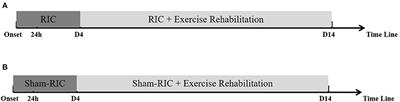 Remote Ischemic Conditioning With Exercise (RICE)—Rehabilitative Strategy in Patients With Acute Ischemic Stroke: Rationale, Design, and Protocol for a Randomized Controlled Study